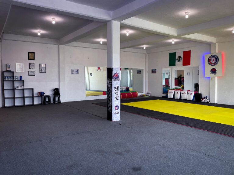 Taekwondo en San Mateo Atenco, Escuela de Taekwondo