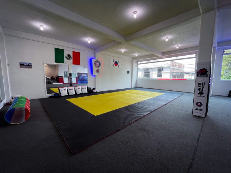 Dojang de Taekwondo en San Mateo Atenco