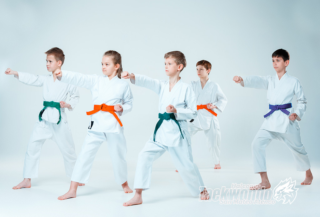 Qué Edad es Buena para Aprender Taekwondo