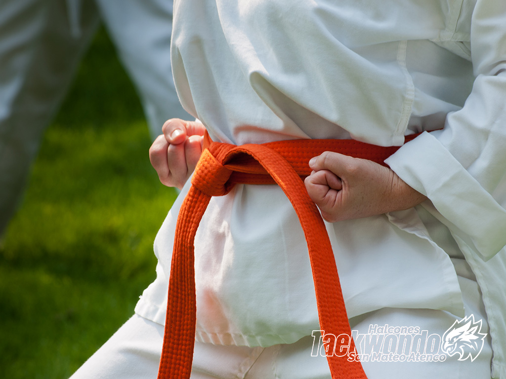 Qué se necesita para el Taekwondo