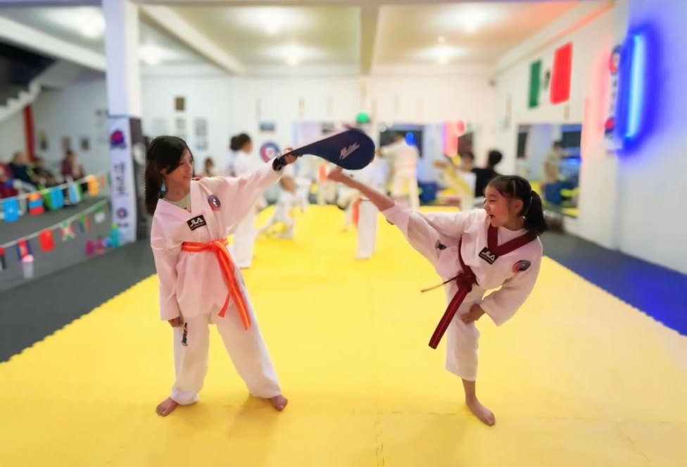 Halcones Taekwondo