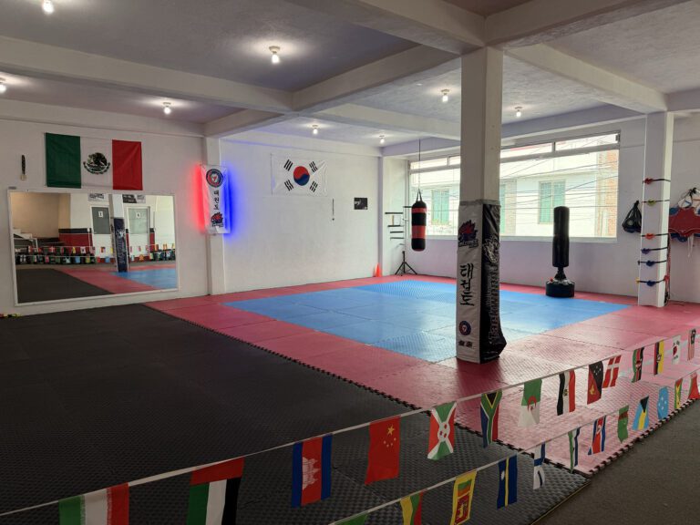 Halcones Taekwondo Dojang 1