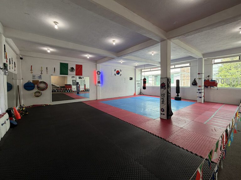 Halcones Taekwondo Dojang 2