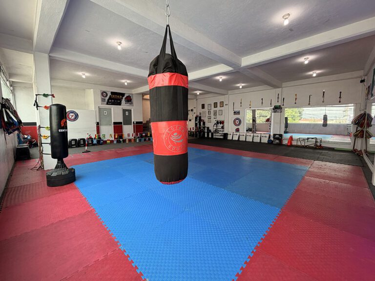 Halcones Taekwondo Dojang 3