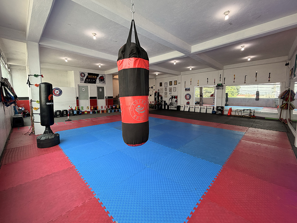 Halcones Taekwondo Dojang 3