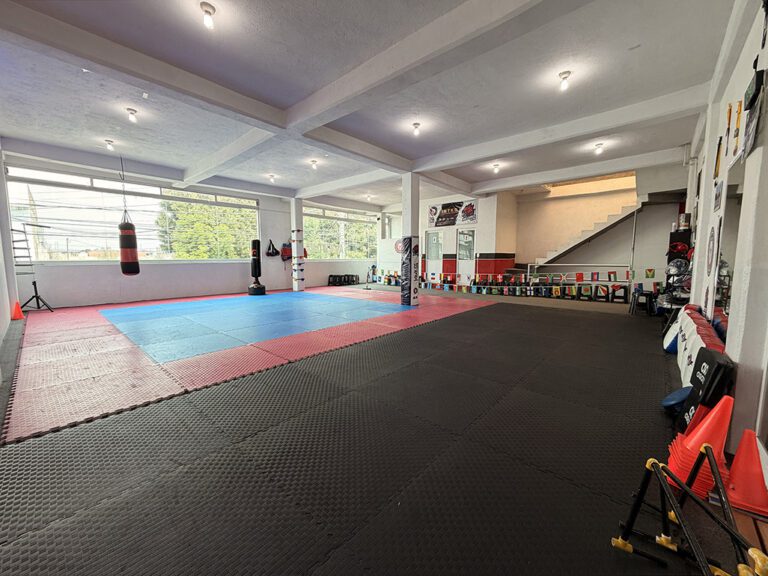 Halcones Taekwondo Dojang 4