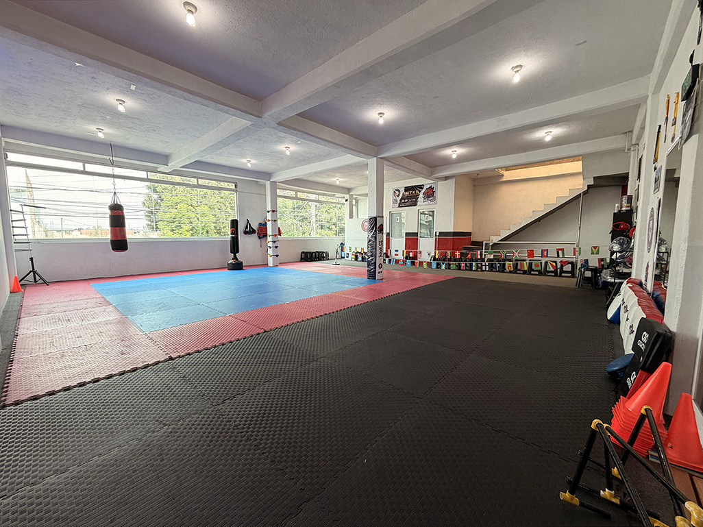 Halcones Taekwondo Dojang 4