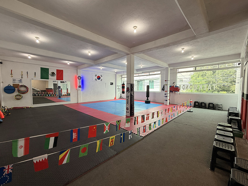 Halcones Taekwondo Dojang 7